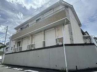 ダンディライオンの画像