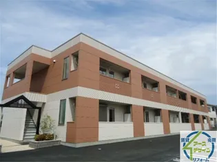 ウィンサムパインの画像