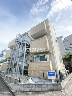 カンパニュラの画像