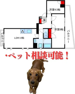 大阪府大阪市東住吉区鷹合1【アパート】の外観