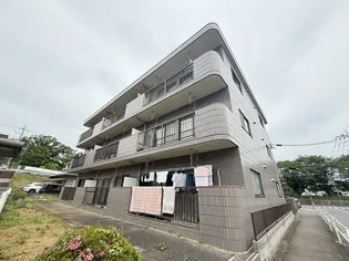 ビューバレーの画像