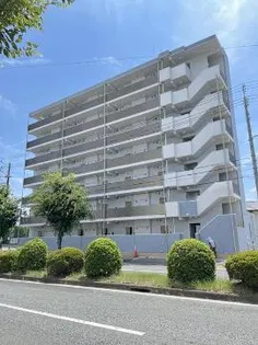 IL VIALEの画像