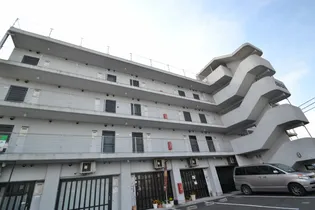 エンゼルの画像