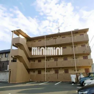 ブリアールの画像