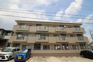 スティルネス洋の画像