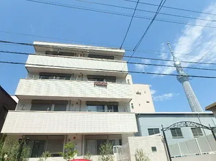 テラス オリーヴ【4階】の外観