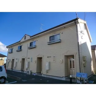 シュンカAの画像