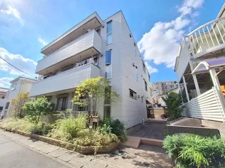 ANTHURIUM アンスリウムの画像