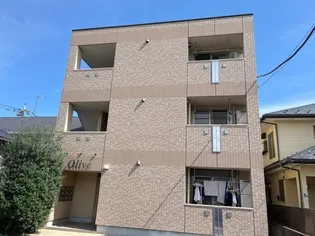 オリーヴの画像