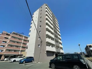 エレイネ菊陽の画像