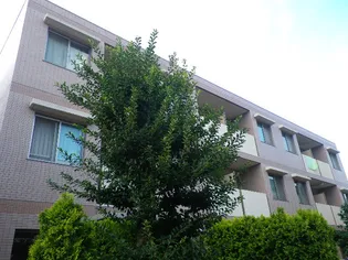 ノーザンハウスの画像