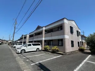 グレイス MCの画像