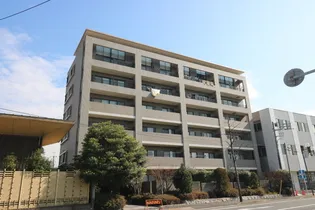 レフィナードの画像