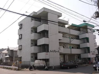 ハイグレースの画像