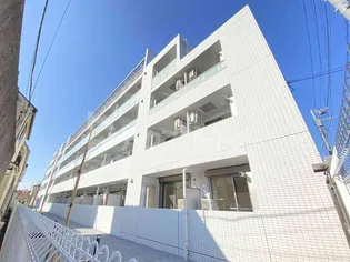 スアヴィス舎人の画像