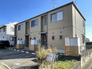 テンダーベルデの画像