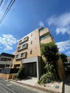 アルカスの画像