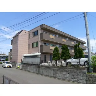 ルミエールの画像