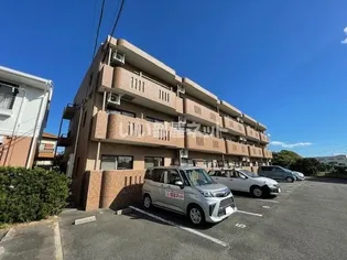 エスペランサ アイの画像