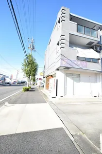 ハイグレージュMの画像