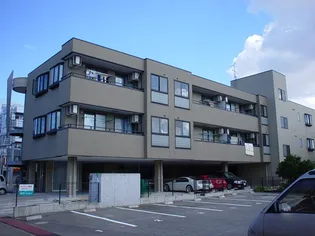 サルビアガーデンの画像