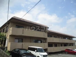 マリークレウェンの画像