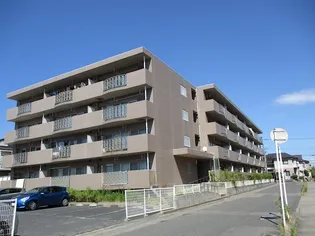 マ メゾンの画像