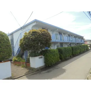 サンホワイトEの画像