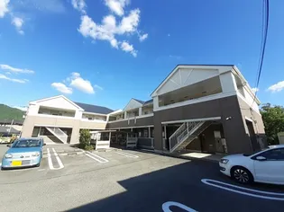 ソレイユ ルヴァンの画像