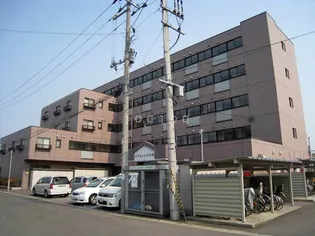 エクセレンス松原【5階】の外観