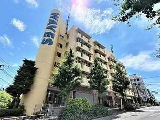 ウェーブスの画像