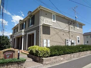 ブローディアの画像