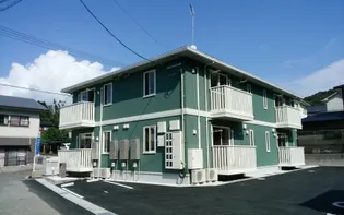 オリーブ ベリーの画像