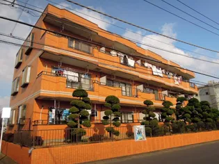 サンライズの画像