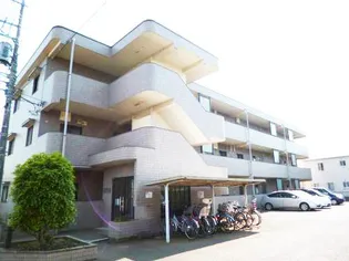 サンヒルズ氷川IIの画像