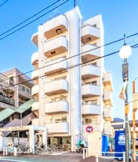 トップ蓮根の画像