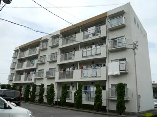 徳島県徳島市南庄町3【マンション】の外観