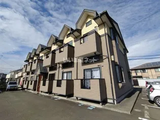 グレイスMの画像