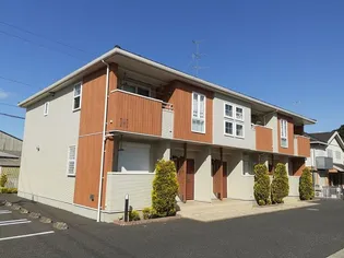 カームリーBの画像