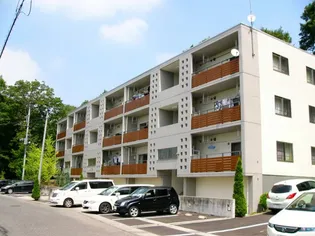 ハーネス戸祭の画像