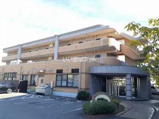 フォルシュ アンジュの画像