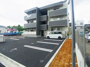 スプルースKの画像