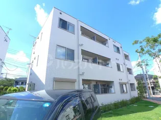 ラシーネ扇サクラの画像
