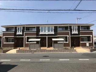 コッティAの画像