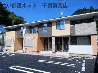 オレンジ サンシャインの画像
