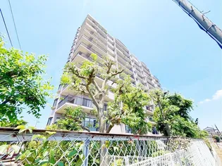 コスモ柏セランスの画像