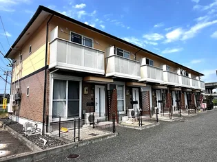 サニーカーサハルの画像