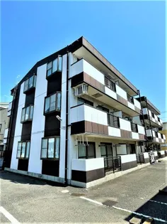 Twin Elle House【3階】の外観