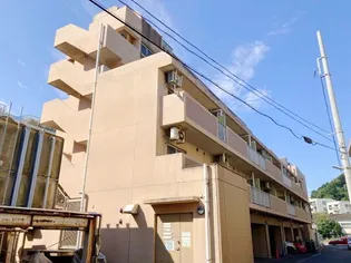 ドルフ安藤橋IIIの画像