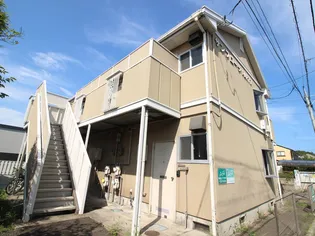 サンフローラ パート1の画像